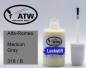 Preview: Alfa-Romeo, Medium Gray, 318 / B: 20ml Lackstift, von ATW Autoteile West.